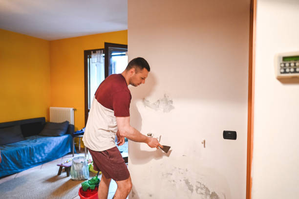 Best Commercial Mold Removal  in Refugio, TX